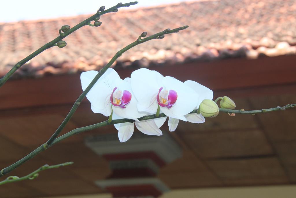 Pondok Hasan Nusa Dua  Exteriör bild