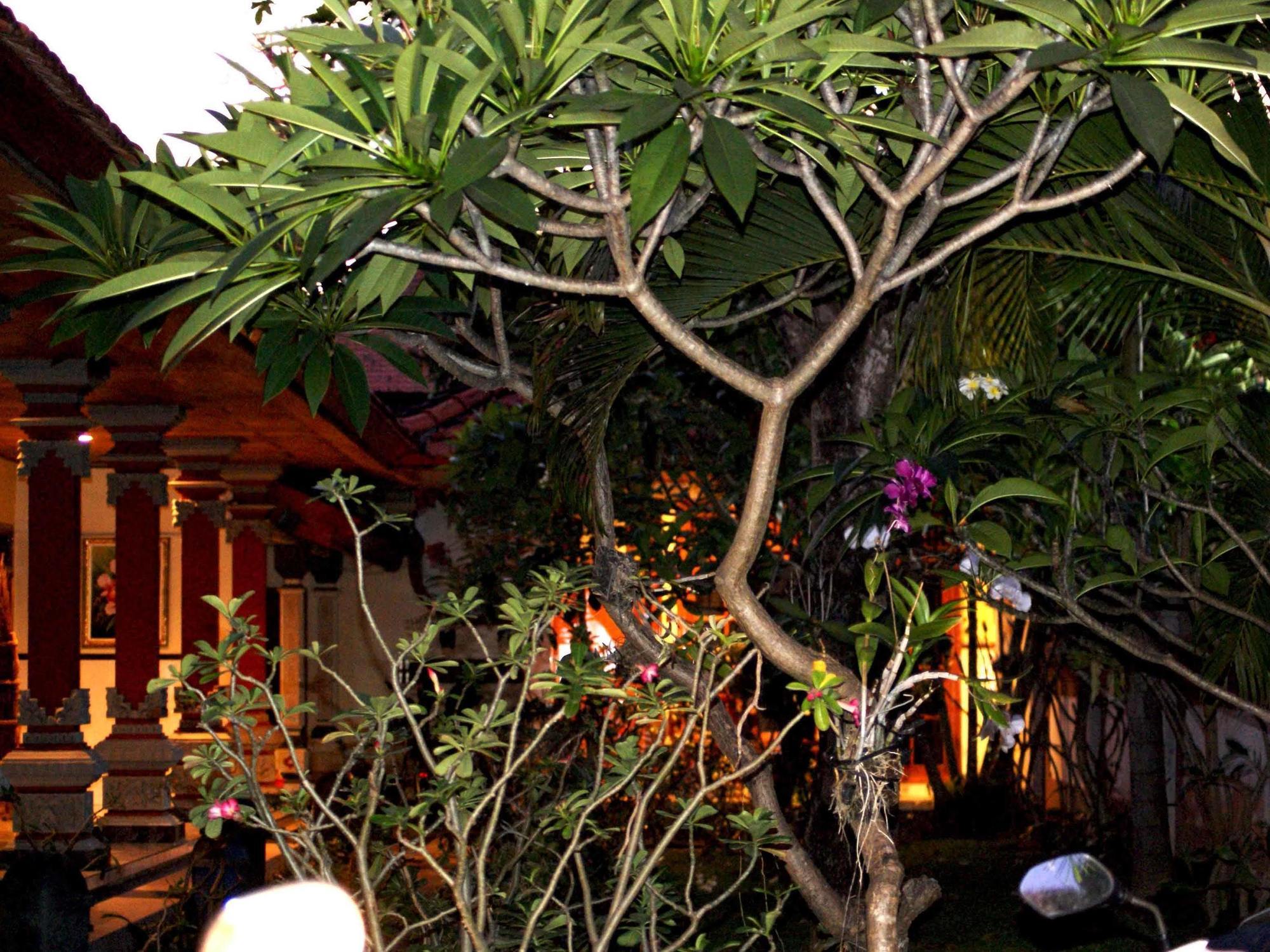 Pondok Hasan Nusa Dua  Exteriör bild